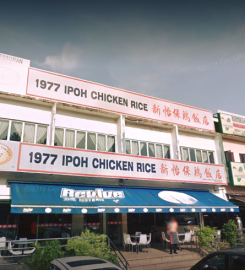 1977 Ipoh Chicken Rice 怡保芽菜鸡 @ Jalan Gasing PJ