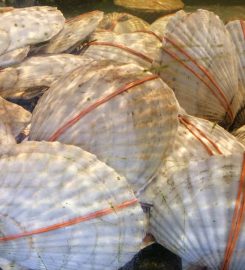 Restoran Red Gold Steamboat 鴻金海鮮飯店 Cheras