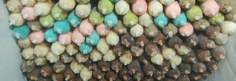 Aiskrim Malaysia Nauraliz Klang