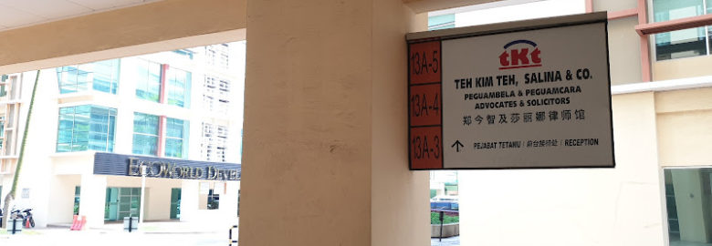 Teh Kim Teh Salina & Co.